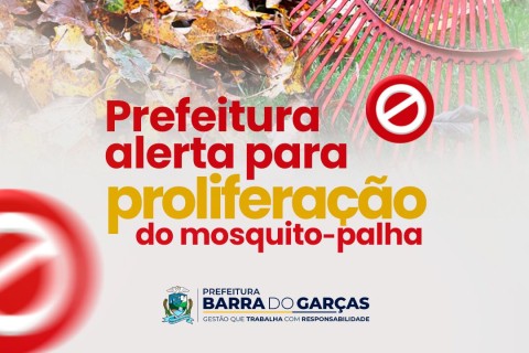 Leishmaniose: Prefeitura de Barra do Garças alerta para a proliferação do mosquito-palha