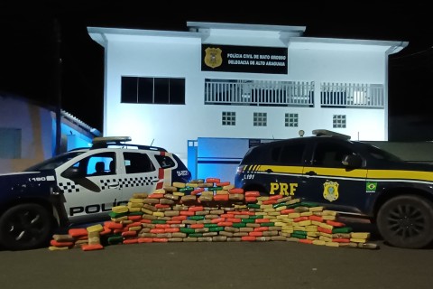 Caminhoneiro é preso transportando 214 quilos maconha skunk em Alto Araguaia