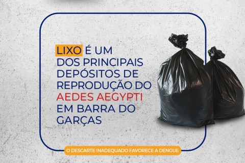 Lixo está entre os depósitos mais comuns de reprodução do Aedes aegypti, em Barra do Garças